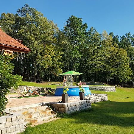 Sarna Karkonosze Apartamento Bukowiec  Exterior foto