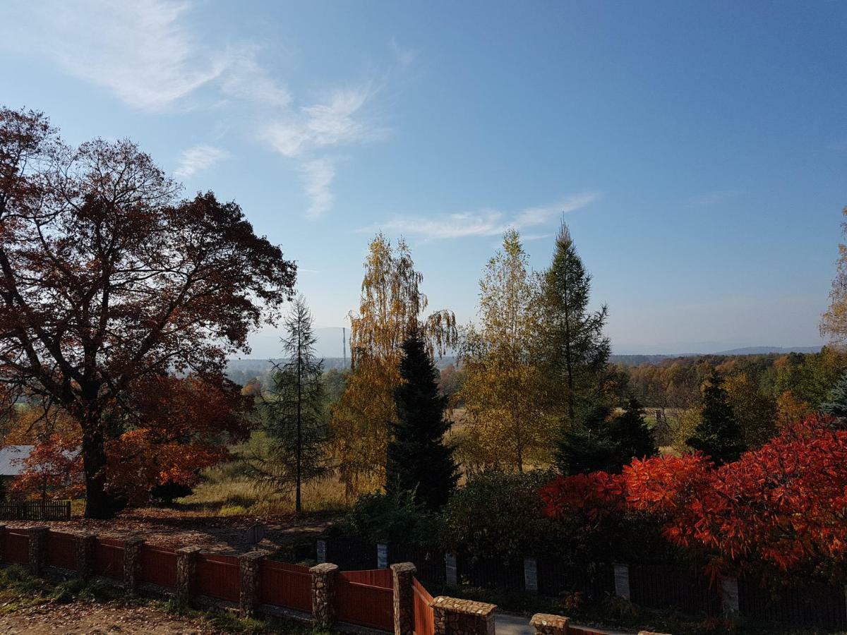 Sarna Karkonosze Apartamento Bukowiec  Exterior foto