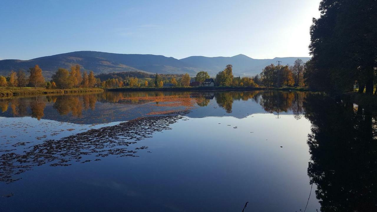 Sarna Karkonosze Apartamento Bukowiec  Exterior foto
